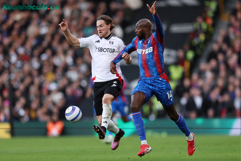 Đội hình dự kiến trước trận Fulham vs Crystal Palace