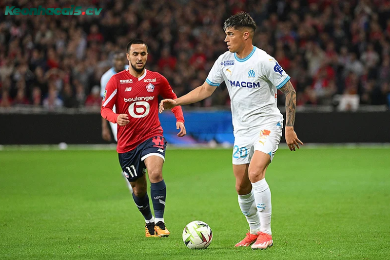 Đội hình dự kiến trước trận Lille vs Marseille Đội hình dự kiến trước trận Lille vs Marseille