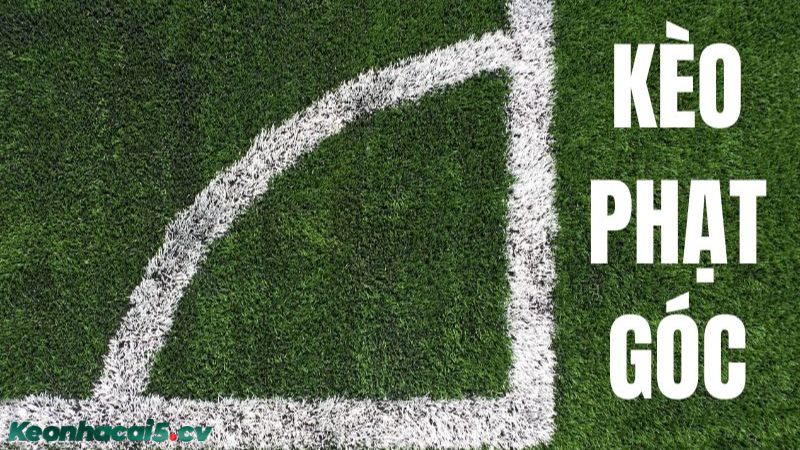 Loại kèo này thu hút nhiều người chơi nhờ sự hấp dẫn và đa dạng của nó