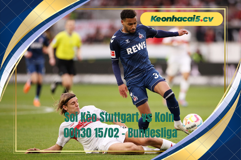 Đội hình dự kiến trước trận Stuttgart vs Koln Đội hình dự kiến trước trận Stuttgart vs Koln