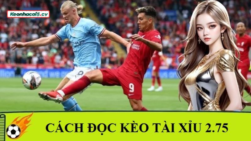 Cách đọc kèo chuẩn chỉ nhất Cách đọc kèo chuẩn chỉ nhất