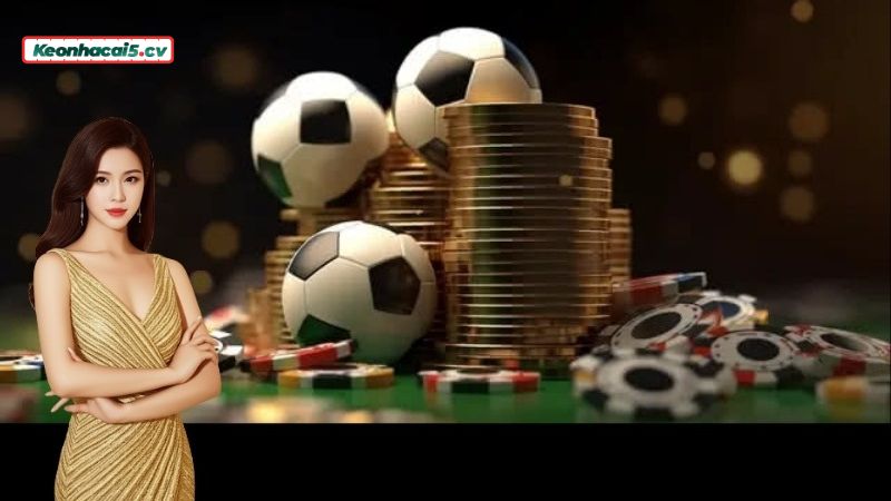 Hướng dẫn tính tiền khi soi kèo Tài Xỉu 2.25 Hướng dẫn tính tiền khi soi kèo Tài Xỉu 2.25