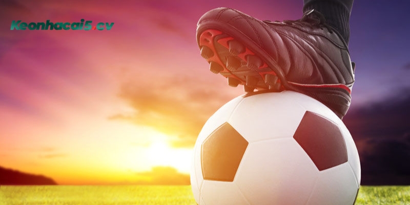 Bỏ túi kinh nghiệm quan trọng để bắt kèo chuẩn nhất Bỏ túi kinh nghiệm quan trọng để bắt kèo chuẩn nhất